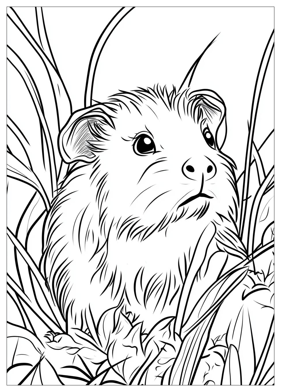 guinea_pig_coloring_pages_23