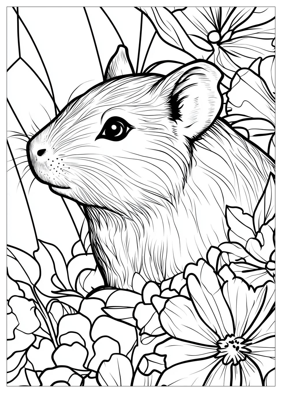 guinea_pig_coloring_pages_24