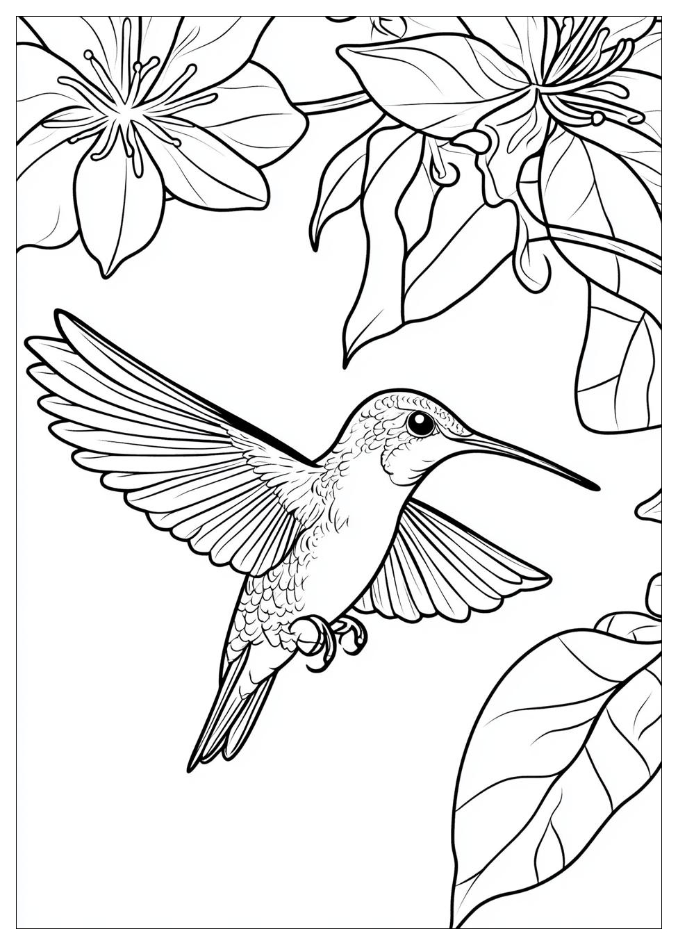 hummingbird_coloring_pages_1