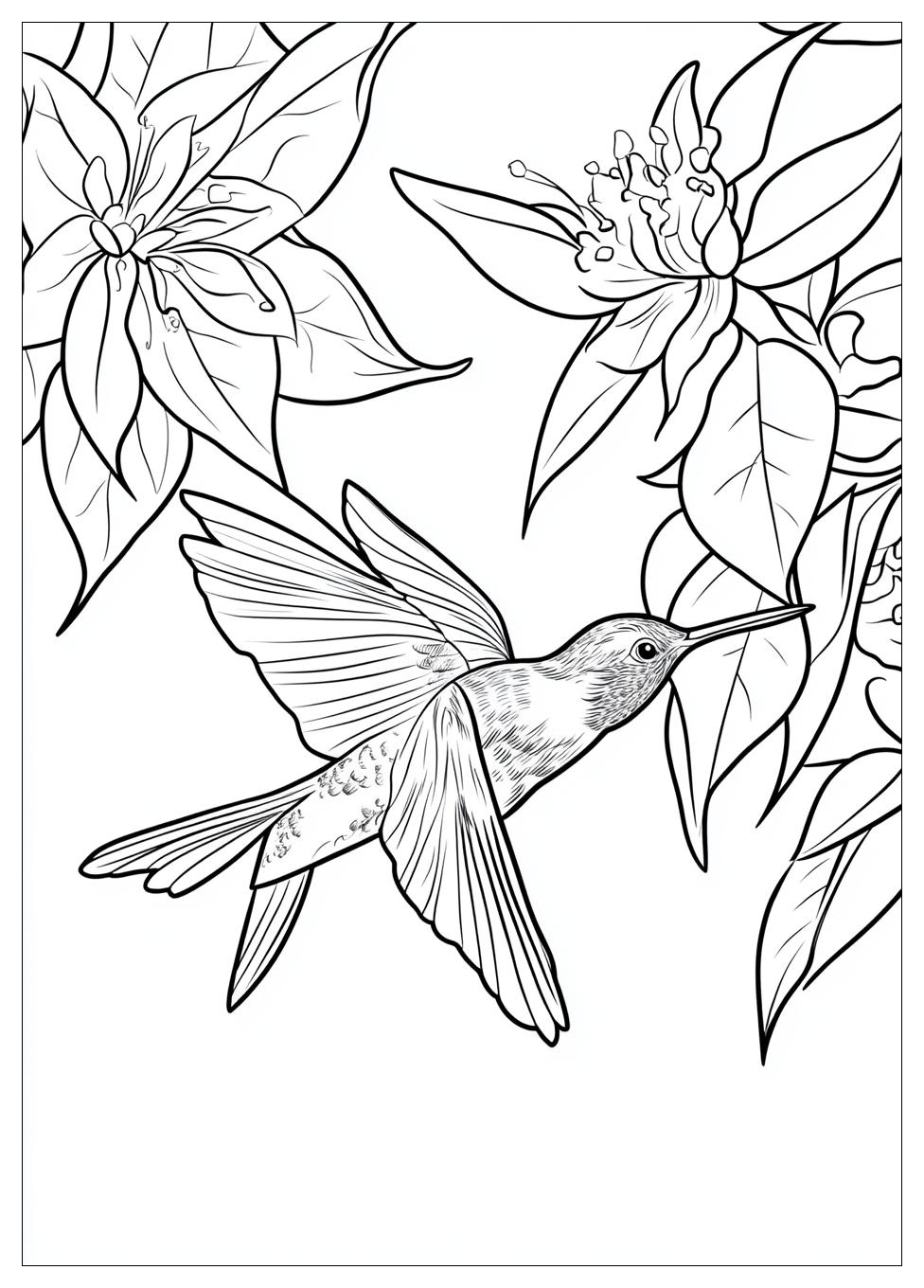hummingbird_coloring_pages_11