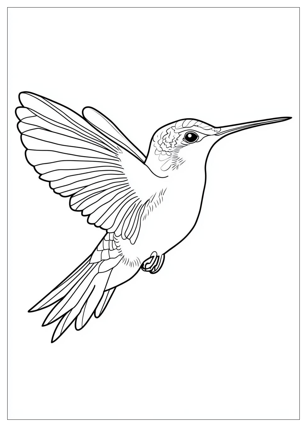 hummingbird_coloring_pages_12