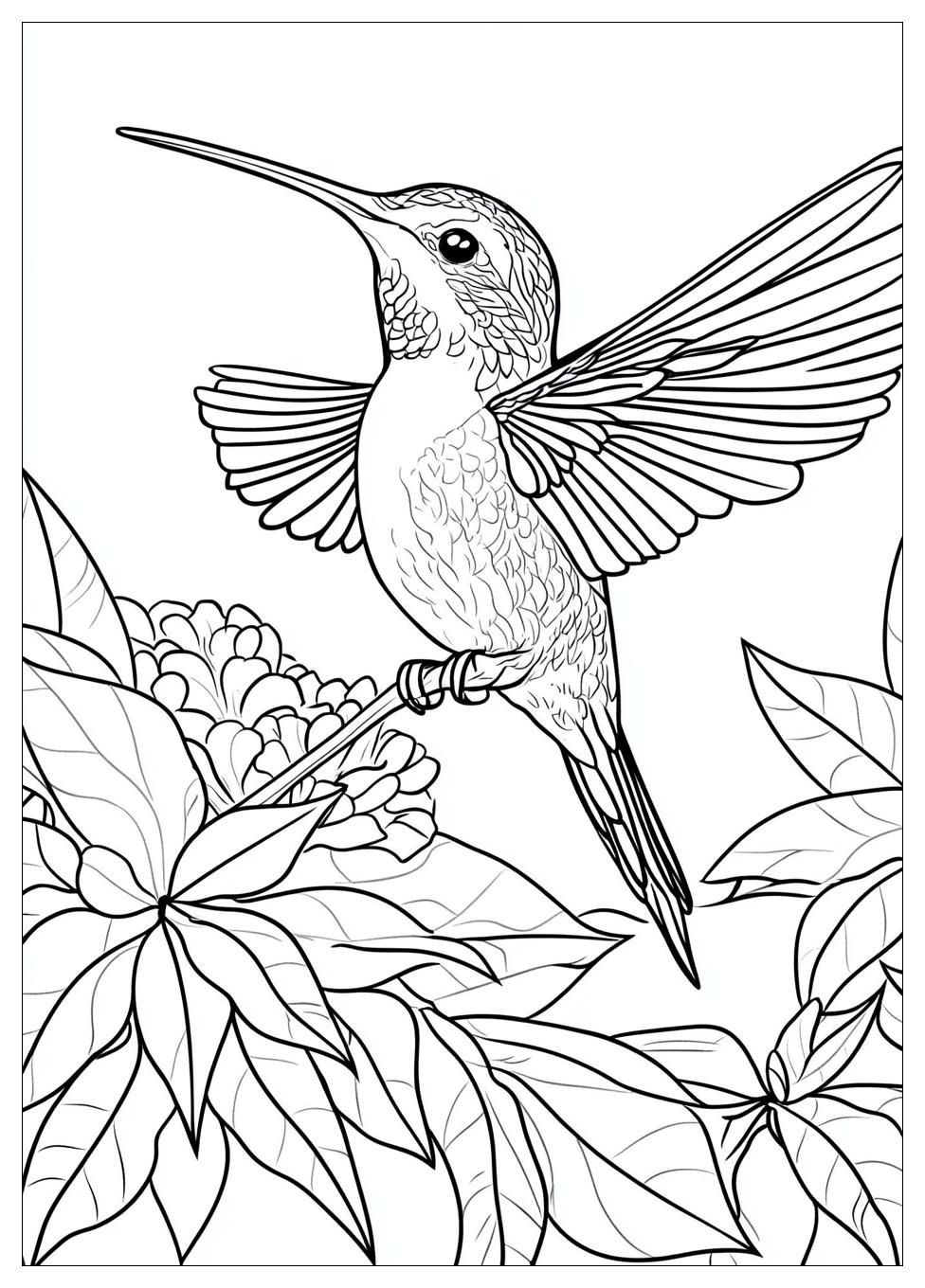 hummingbird_coloring_pages_13