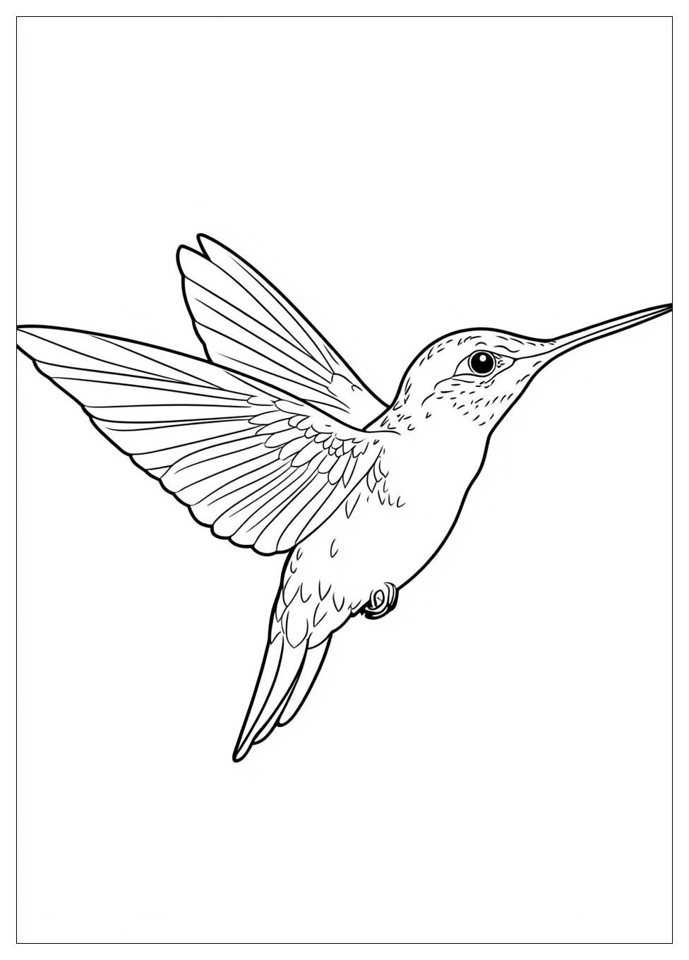 hummingbird_coloring_pages_15