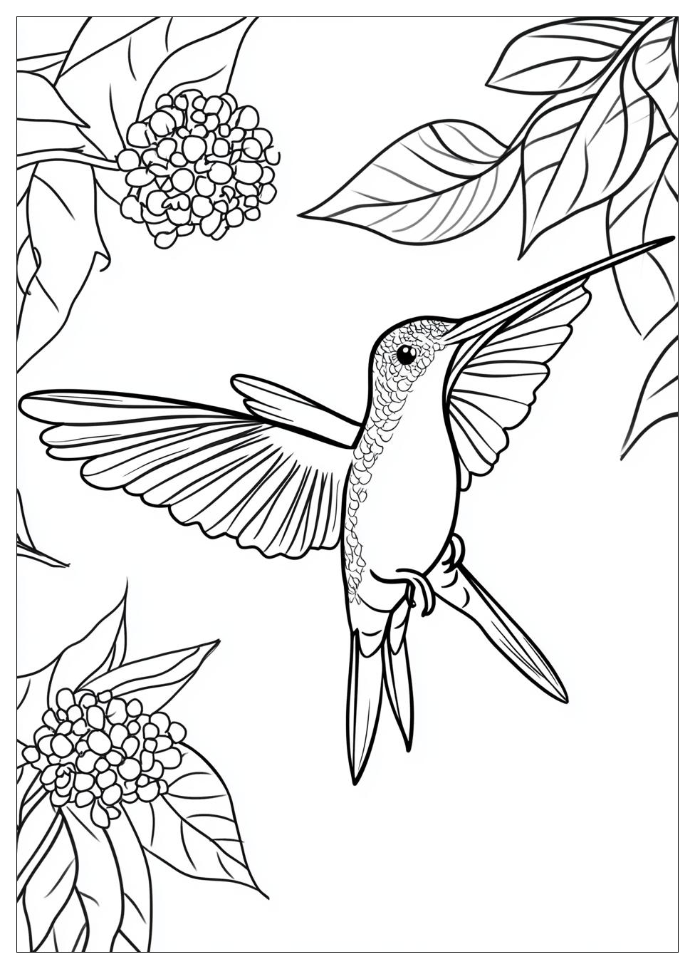 hummingbird_coloring_pages_17