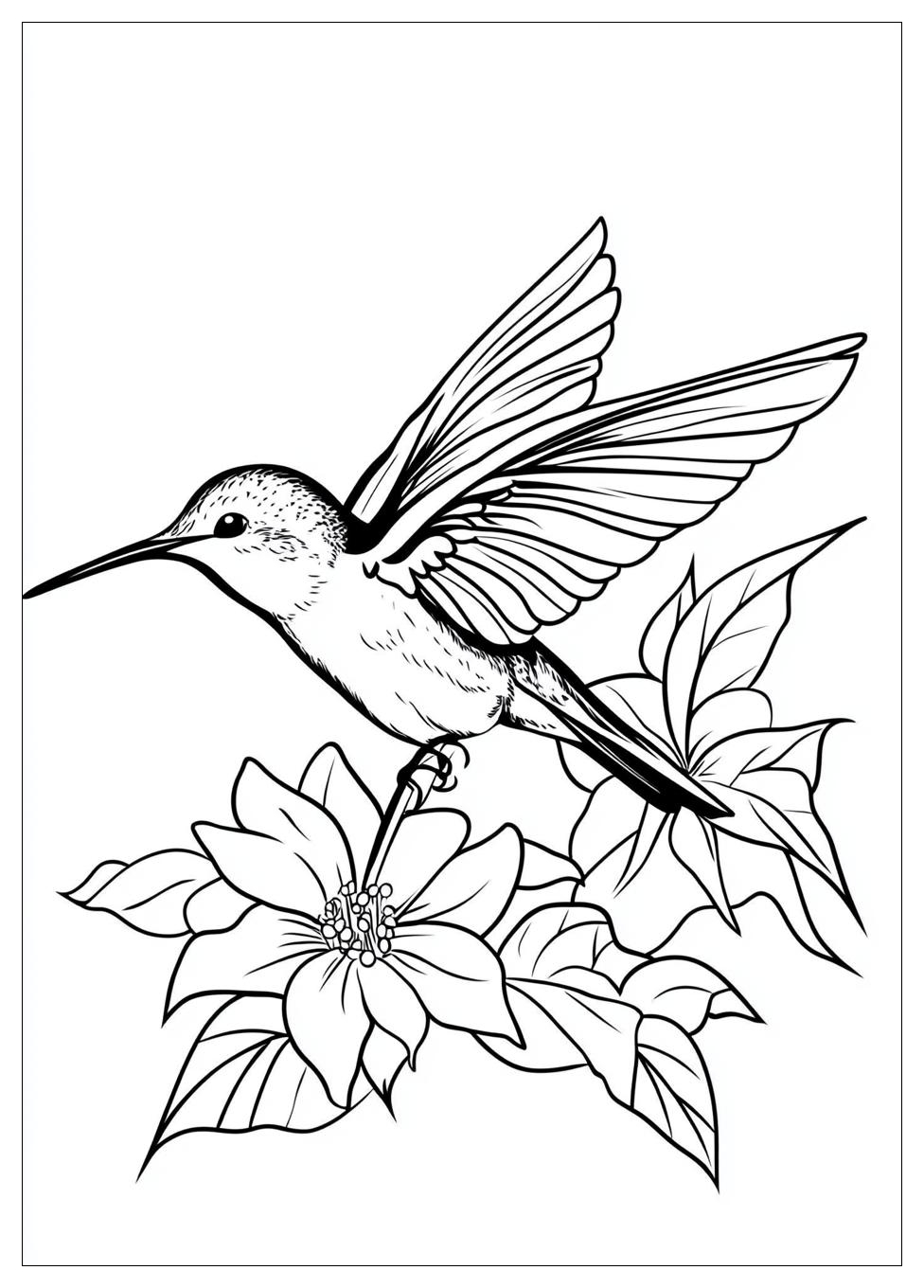 hummingbird_coloring_pages_19