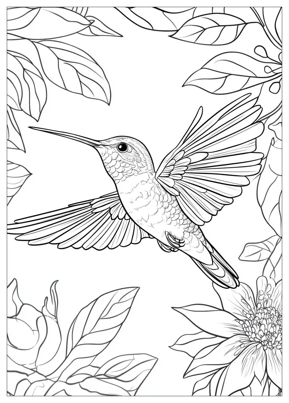 hummingbird_coloring_pages_20