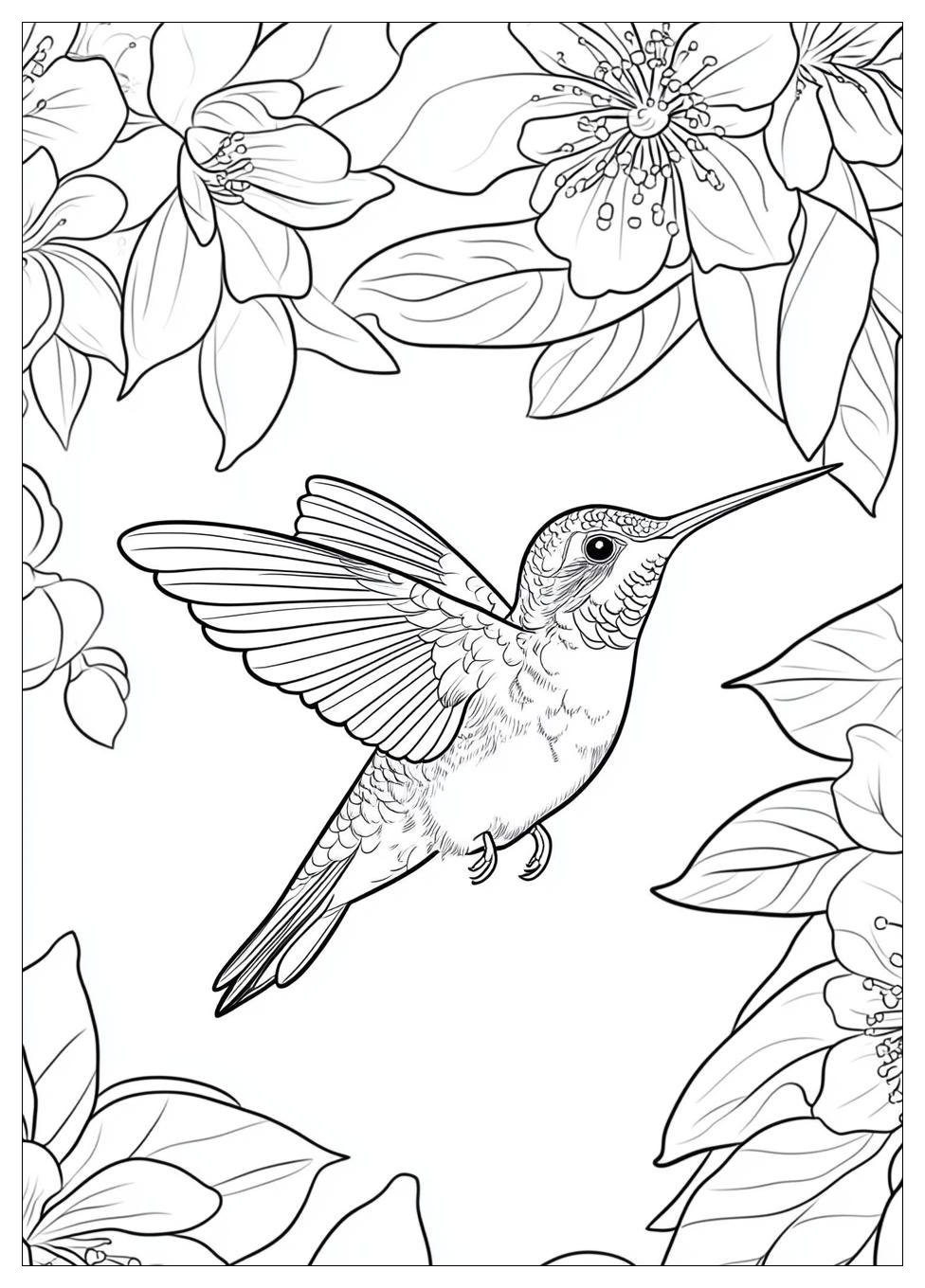 hummingbird_coloring_pages_22
