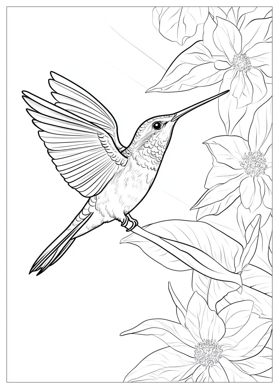 hummingbird_coloring_pages_6