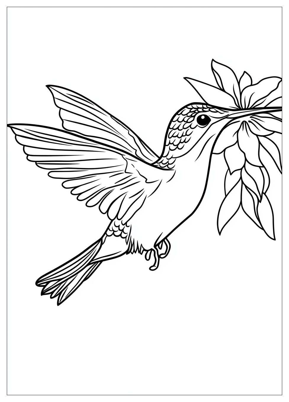 hummingbird_coloring_pages_7
