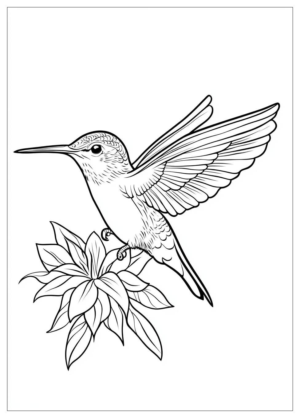 hummingbird_coloring_pages_8