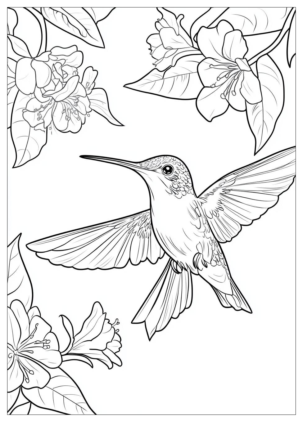 hummingbird_coloring_pages_9