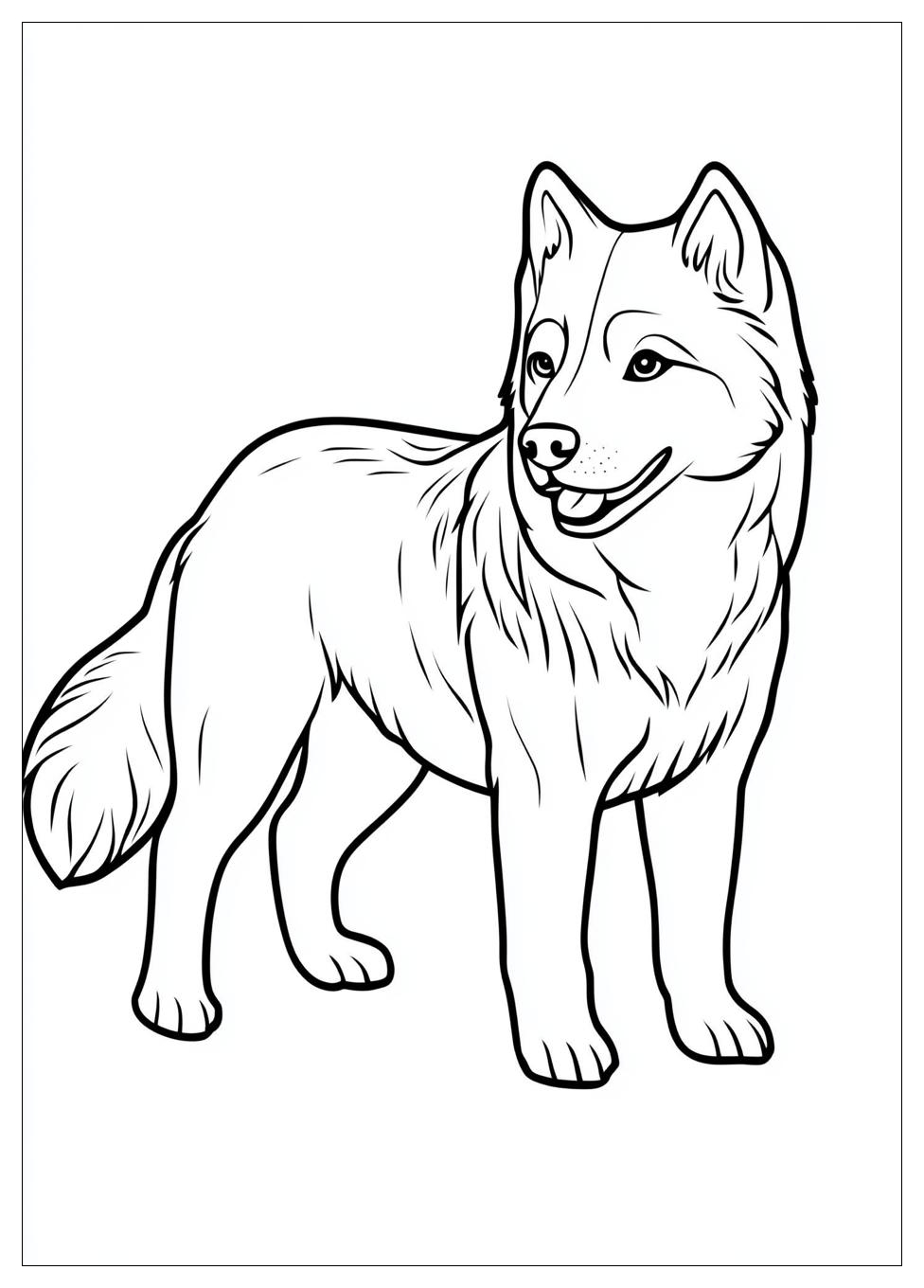 husky_coloring_pages_13