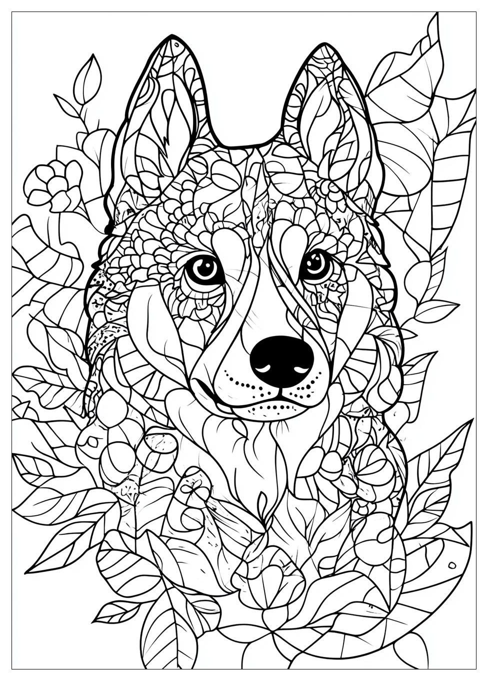 husky_coloring_pages_21