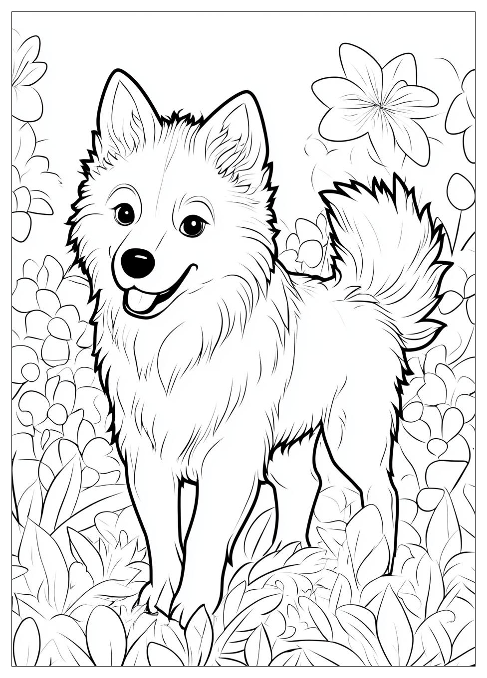 husky_coloring_pages_7