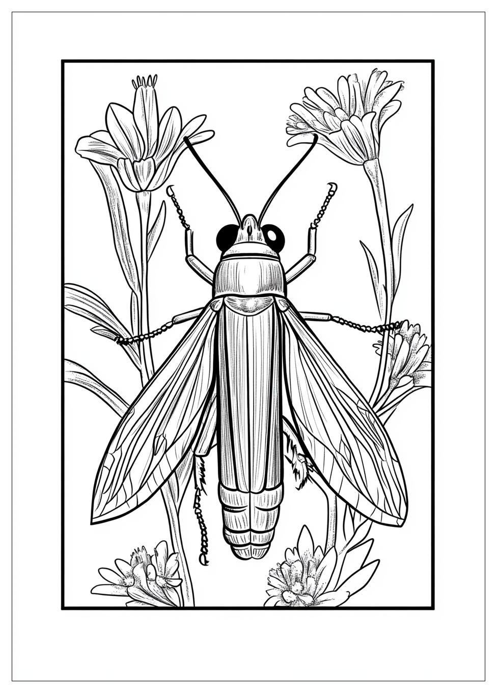 insects_coloring_pages_16