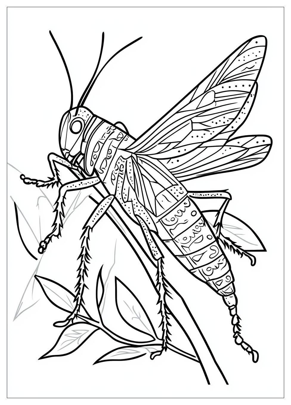 insects_coloring_pages_17