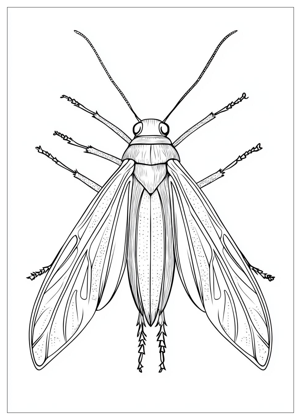 insects_coloring_pages_4