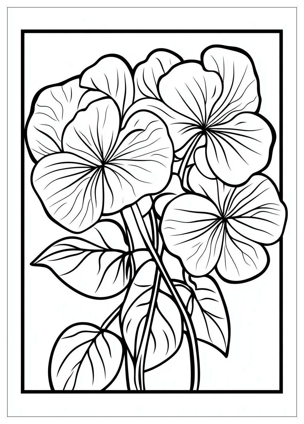irish_coloring_pages_15