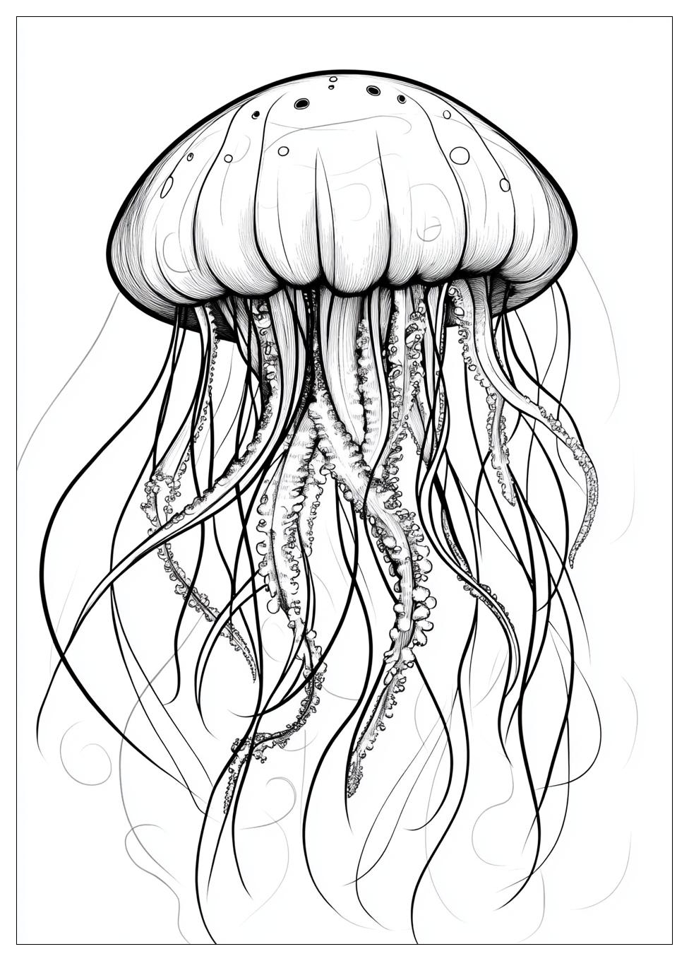 jellyfish_coloring_pages_14