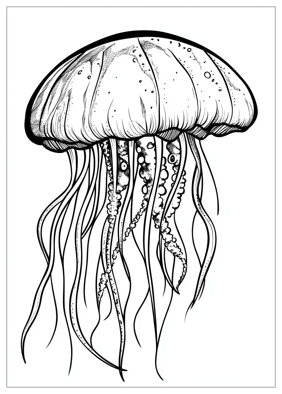 jellyfish_coloring_pages_8