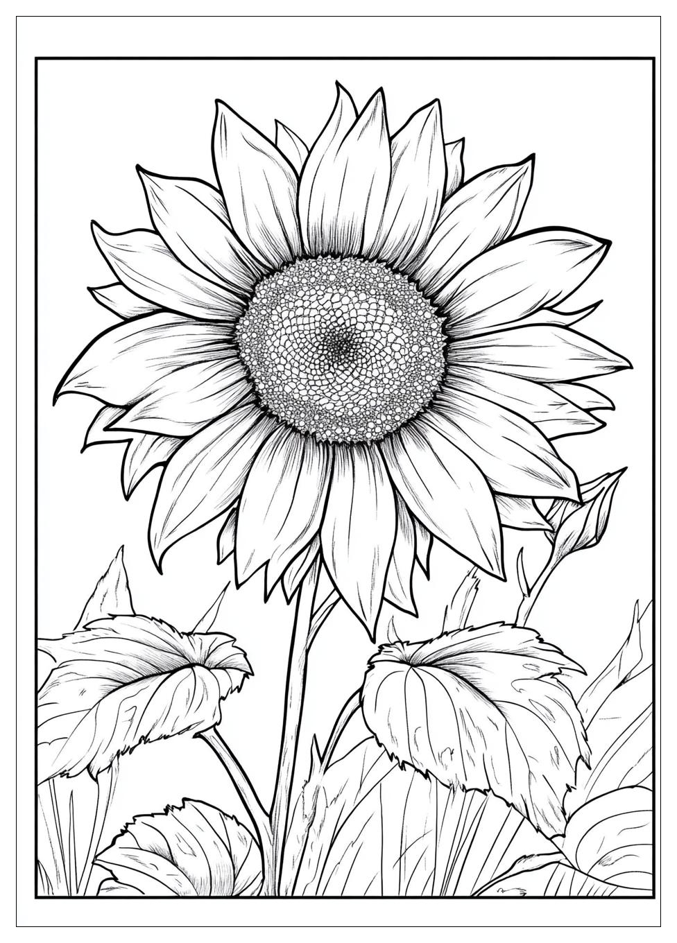 july_coloring_pages_20