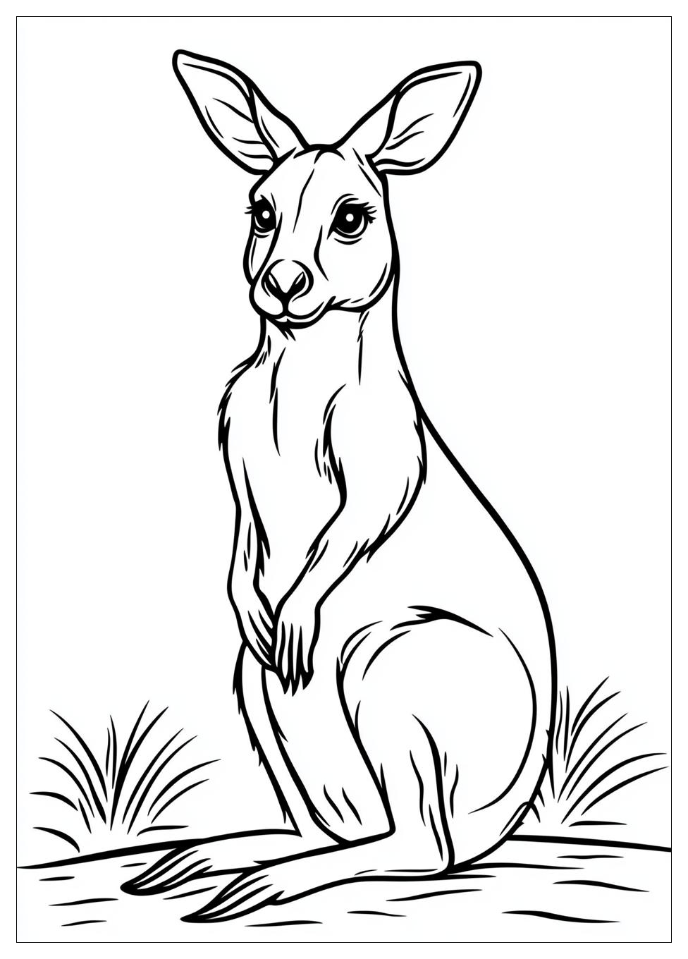 kangaroo_coloring_pages_1