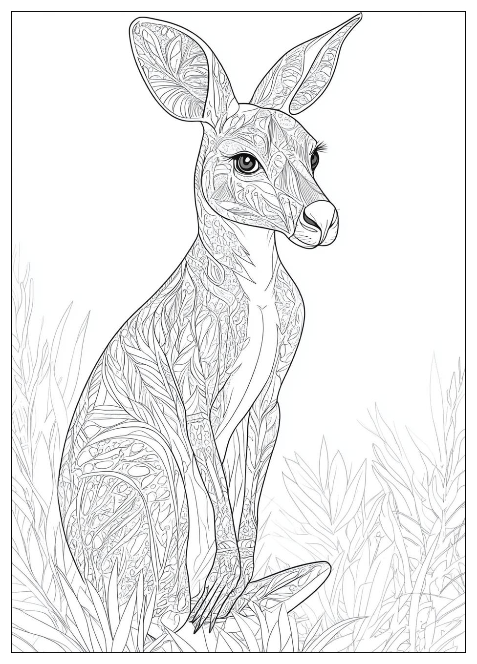 kangaroo_coloring_pages_23