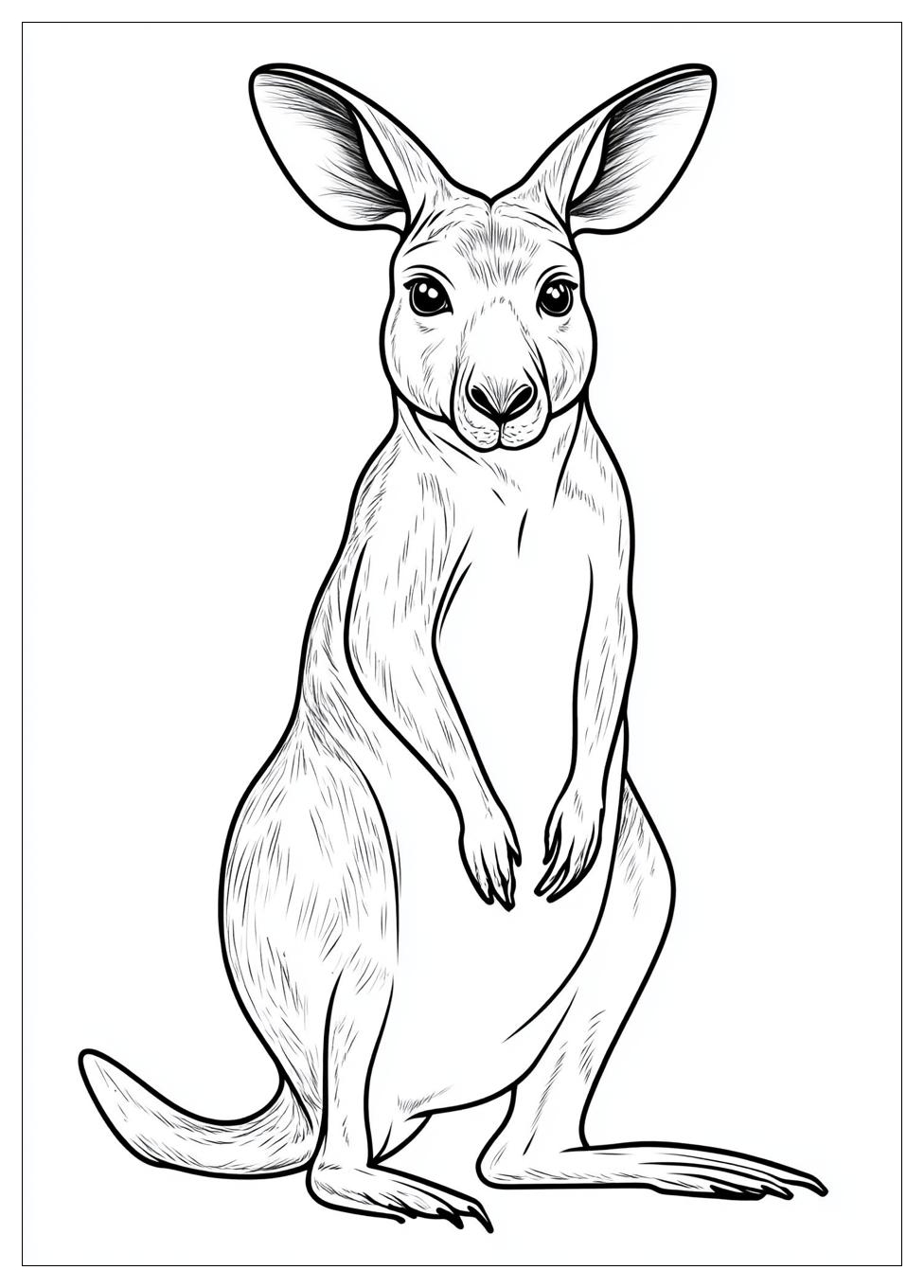 kangaroo_coloring_pages_4