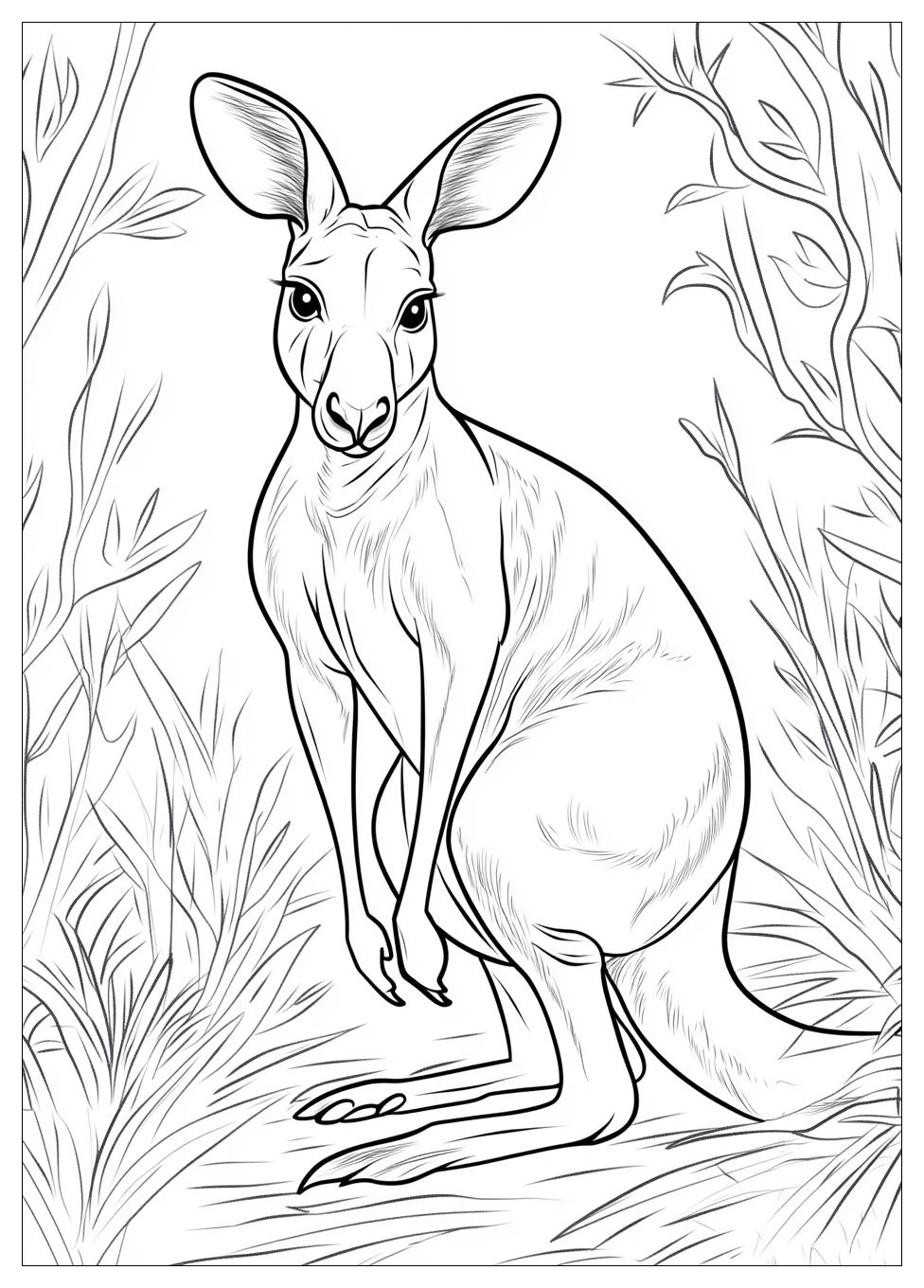 kangaroo_coloring_pages_7