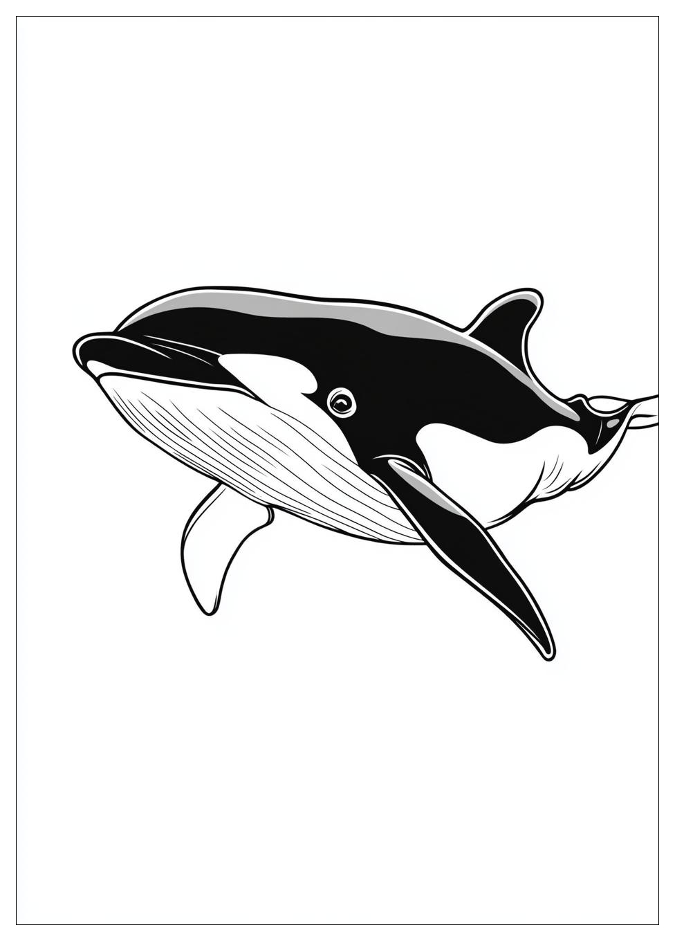 killer_whale_coloring_pages_11