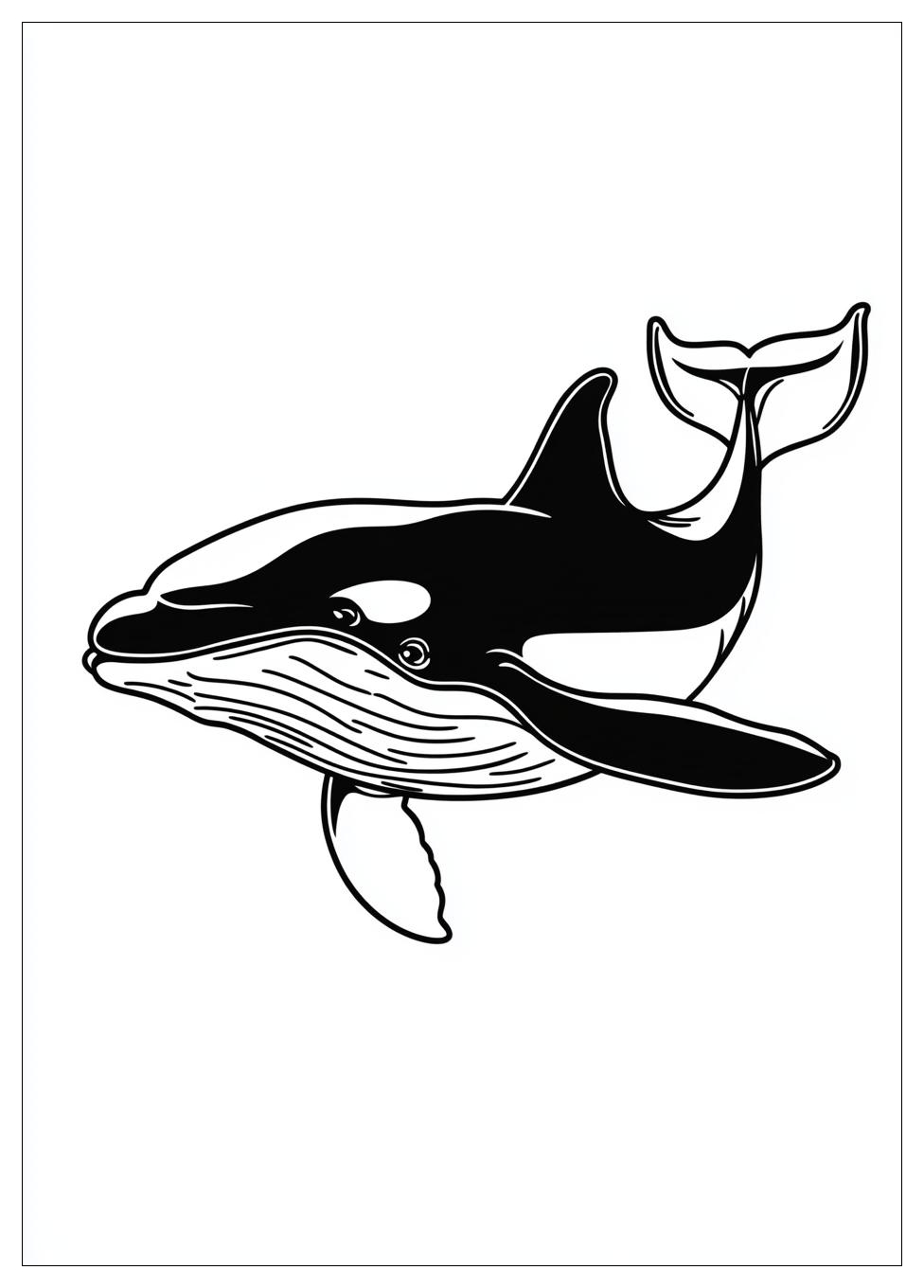 killer_whale_coloring_pages_12
