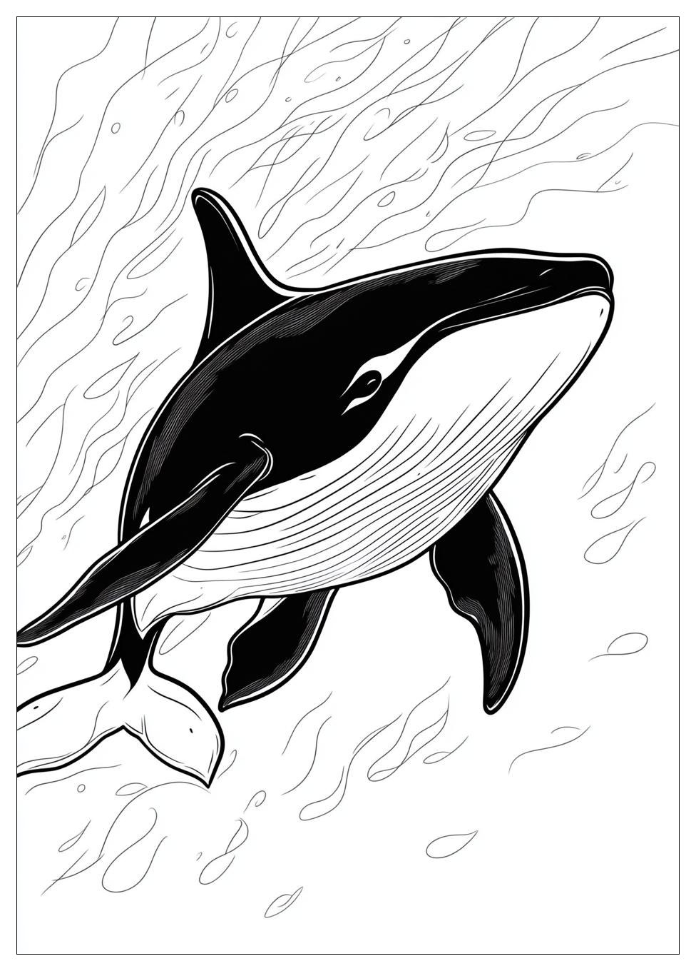 killer_whale_coloring_pages_13