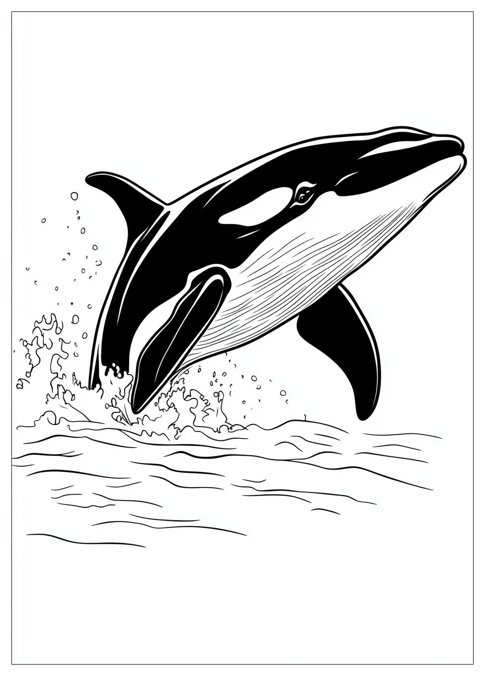 killer_whale_coloring_pages_14