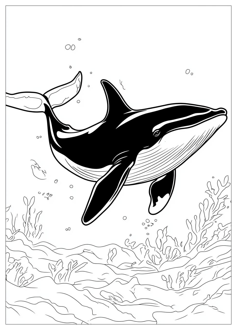 killer_whale_coloring_pages_15