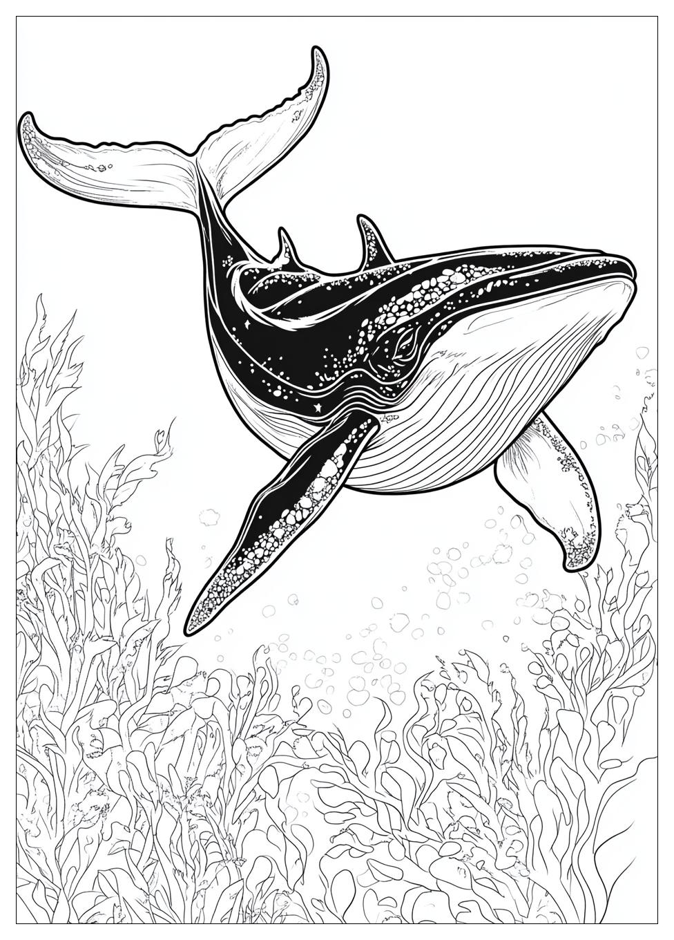 killer_whale_coloring_pages_16