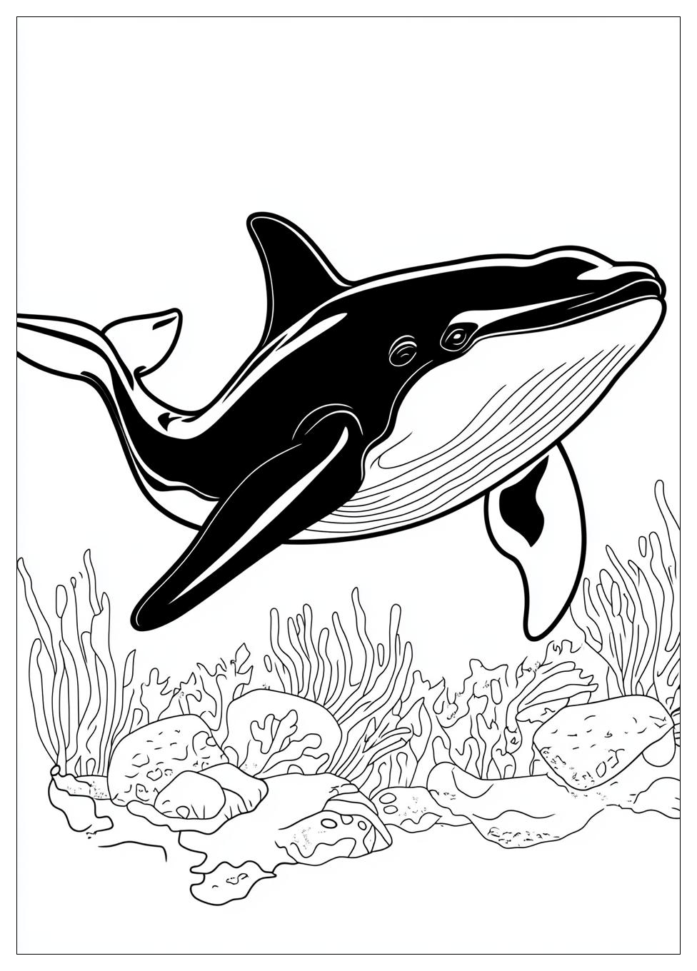 killer_whale_coloring_pages_19