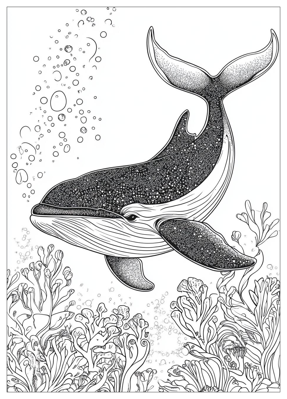 killer_whale_coloring_pages_21