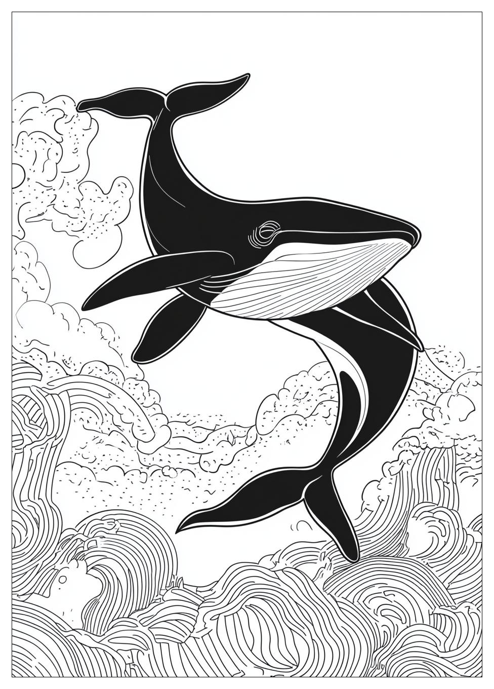 killer_whale_coloring_pages_24