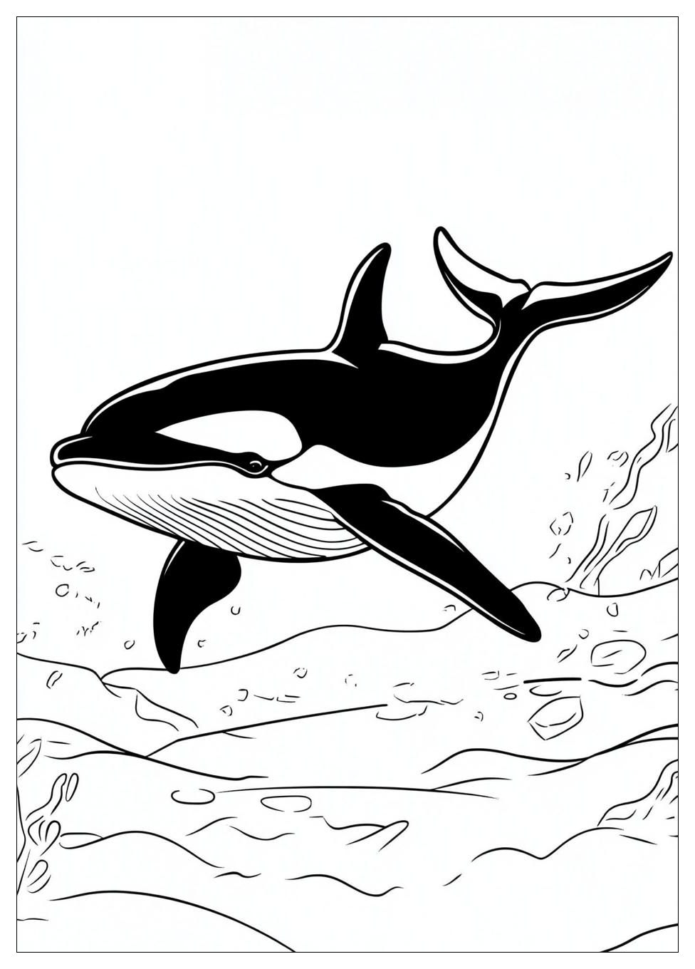 killer_whale_coloring_pages_3