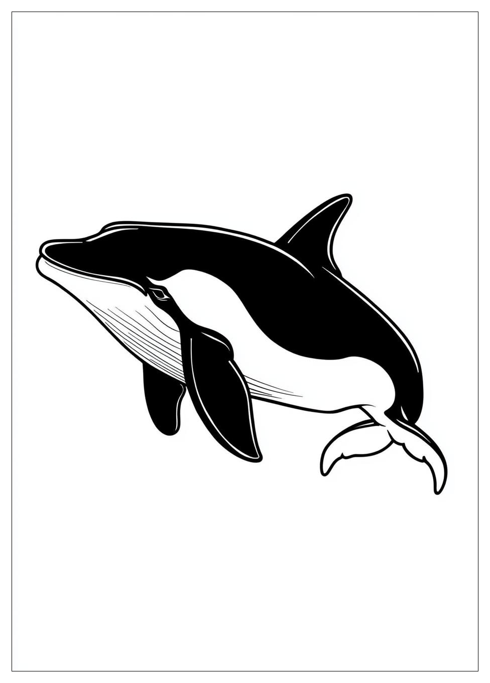 killer_whale_coloring_pages_4