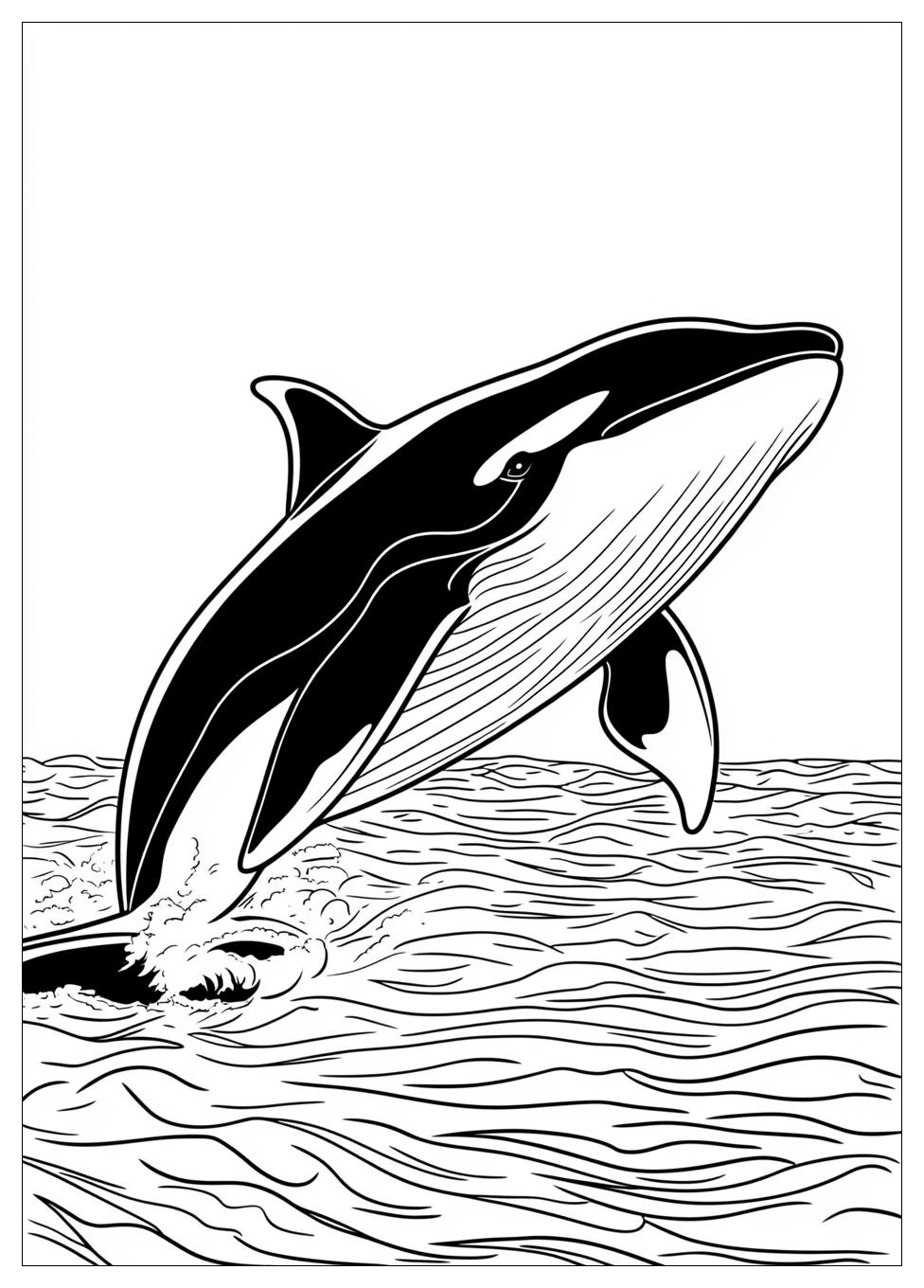 killer_whale_coloring_pages_5