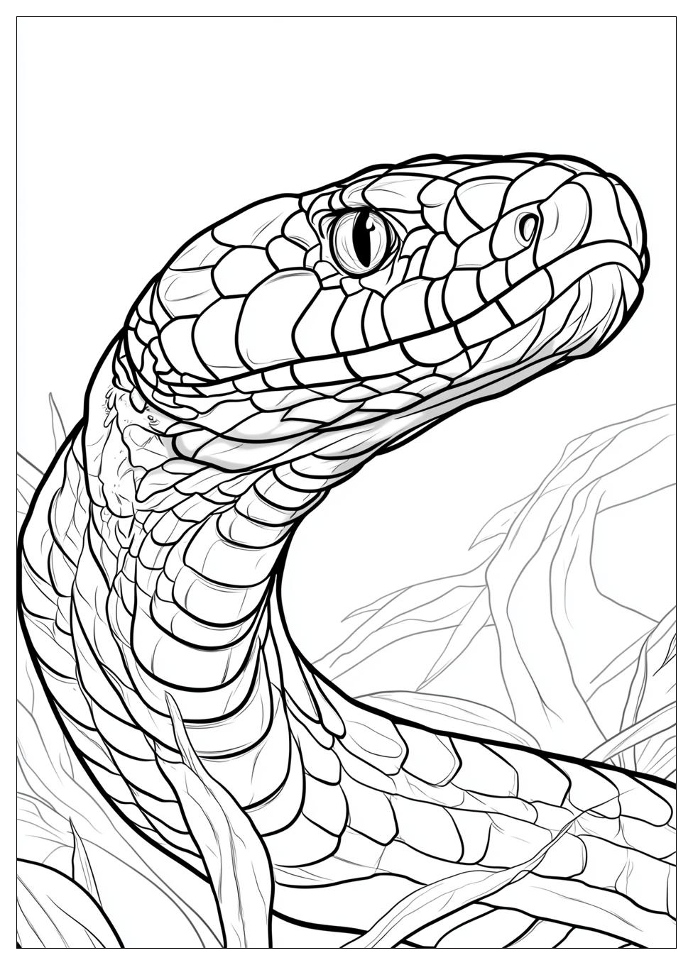 king_cobra_coloring_pages_13