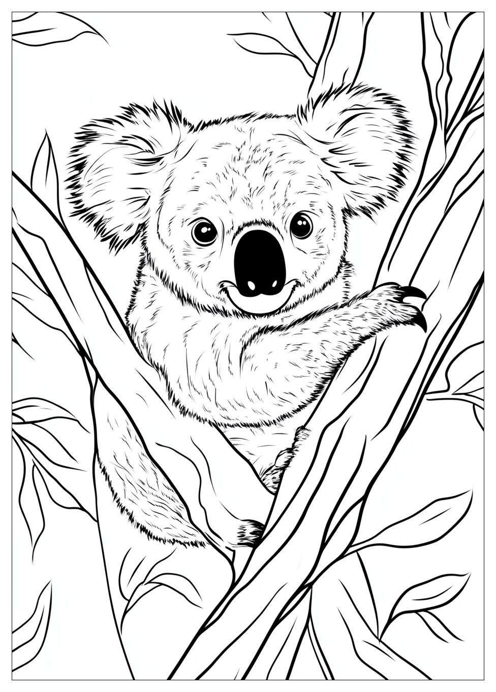 koala_coloring_pages_10