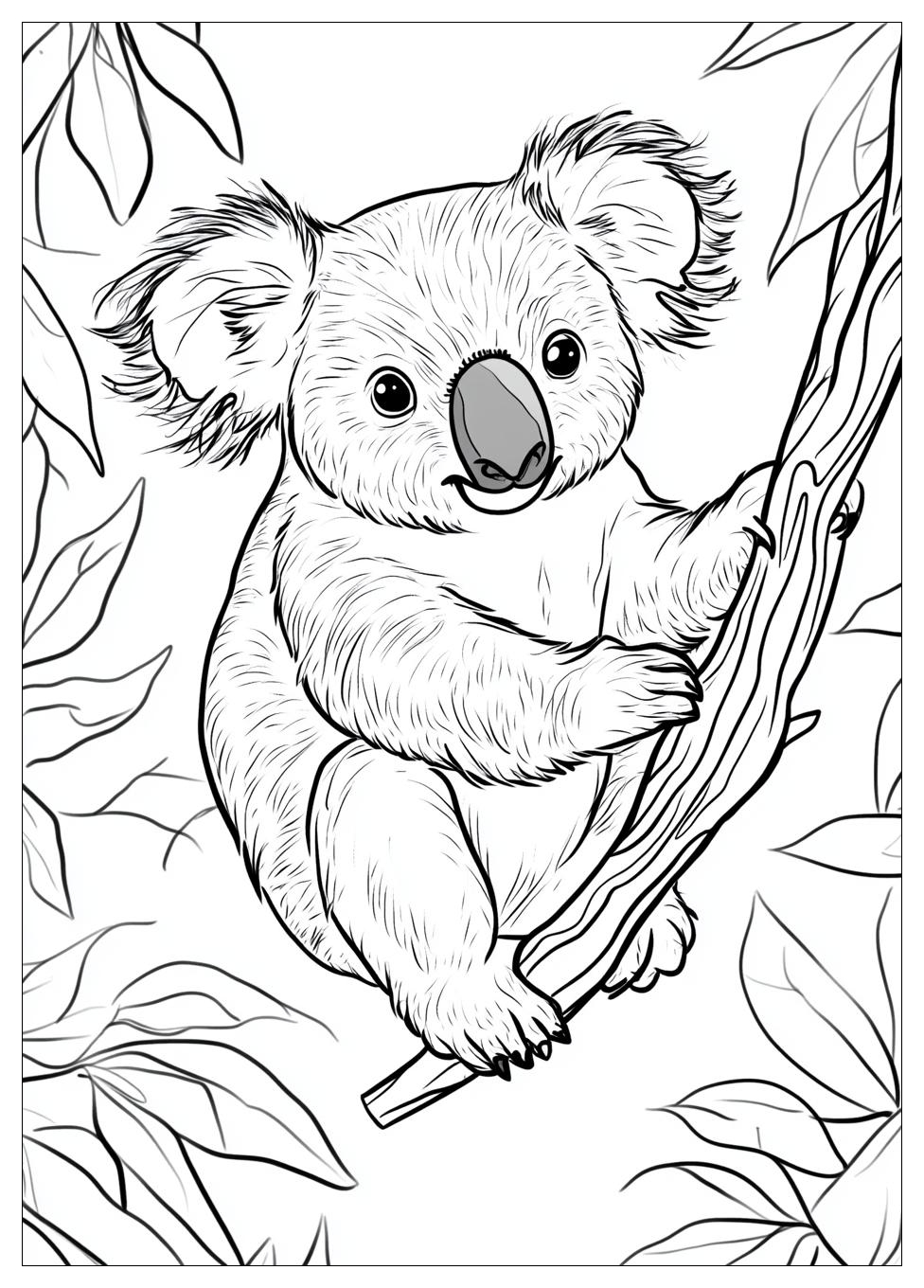 koala_coloring_pages_16