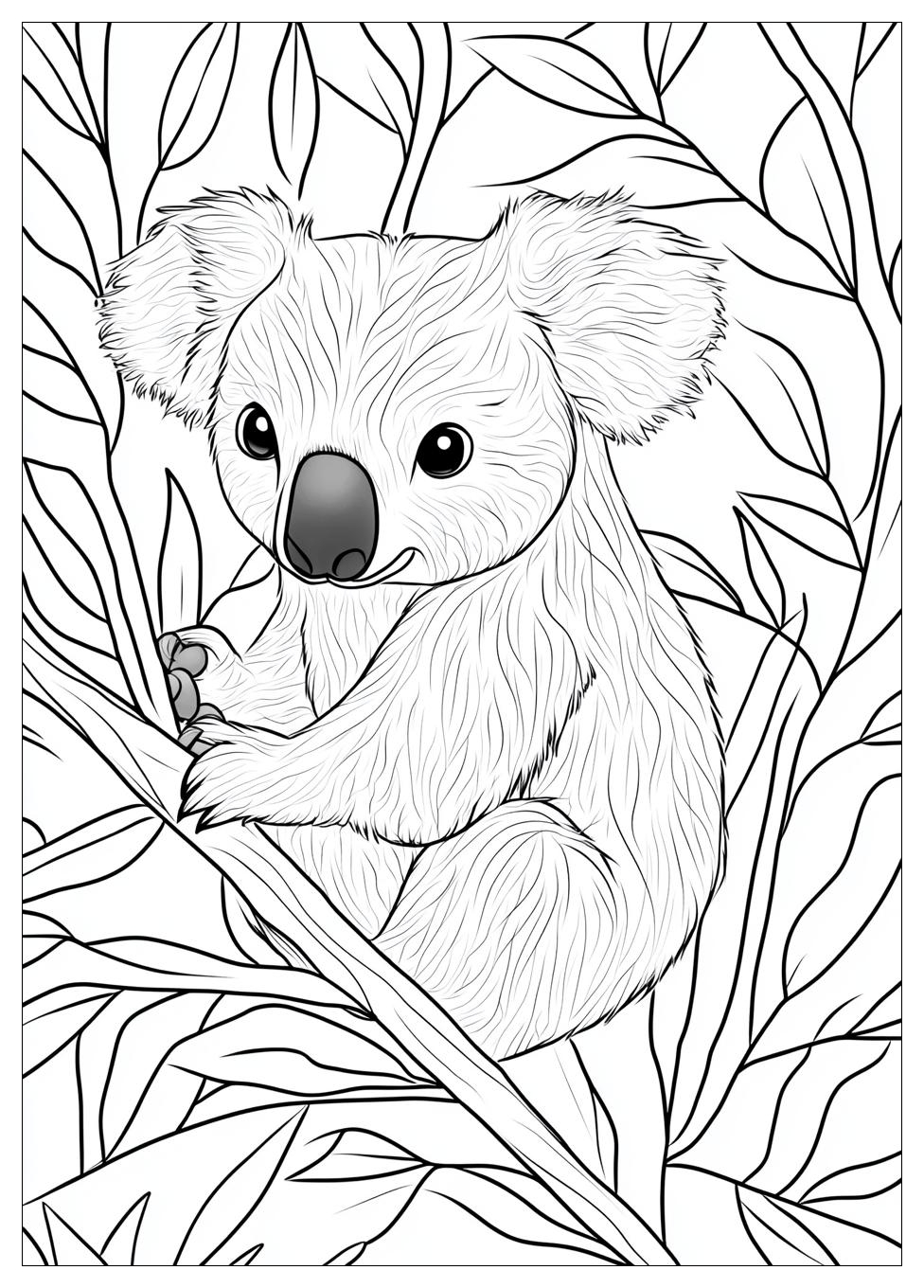 koala_coloring_pages_18