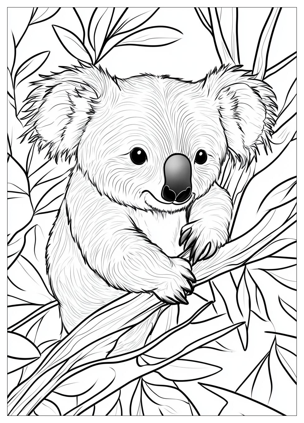 koala_coloring_pages_19