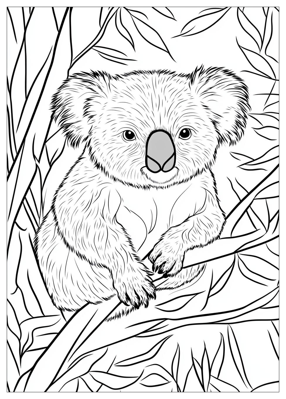 koala_coloring_pages_2