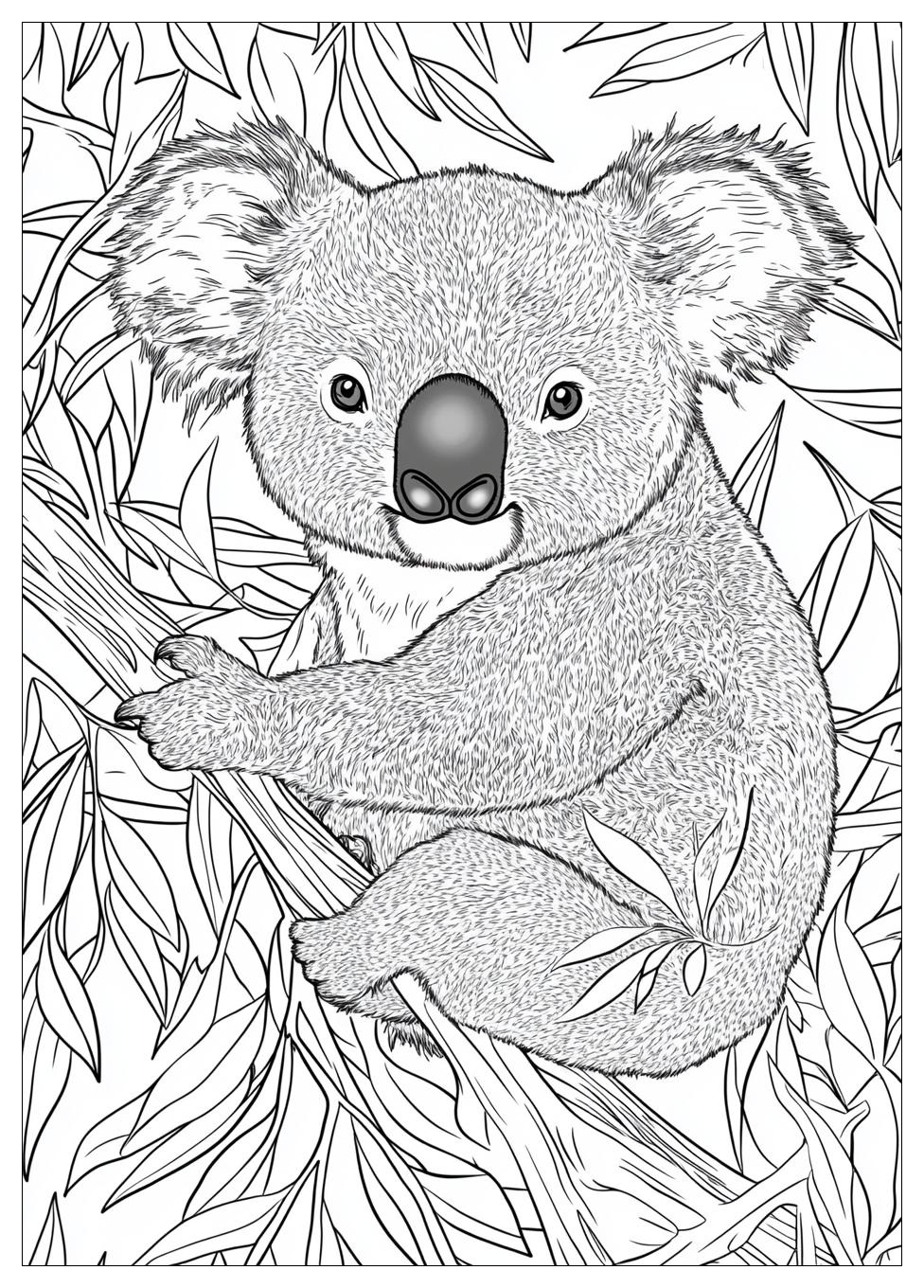 koala_coloring_pages_21