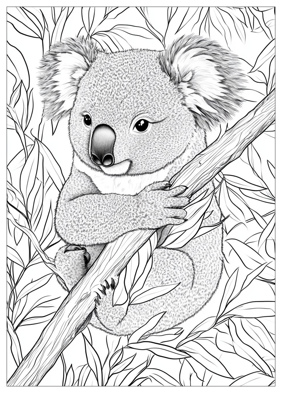 koala_coloring_pages_23