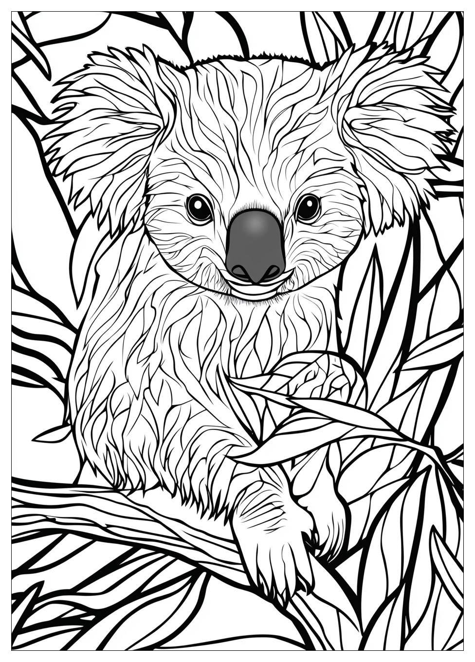koala_coloring_pages_3